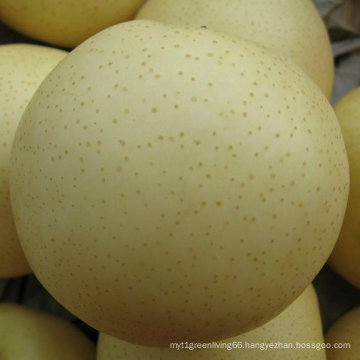 Professional Supplier for Fresh Golden Pear